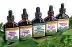 liquid herbal extract